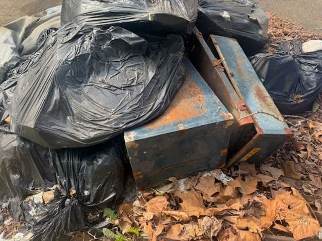 Gallery photos for Denbigh Yard Declutter Transformation: Image #2