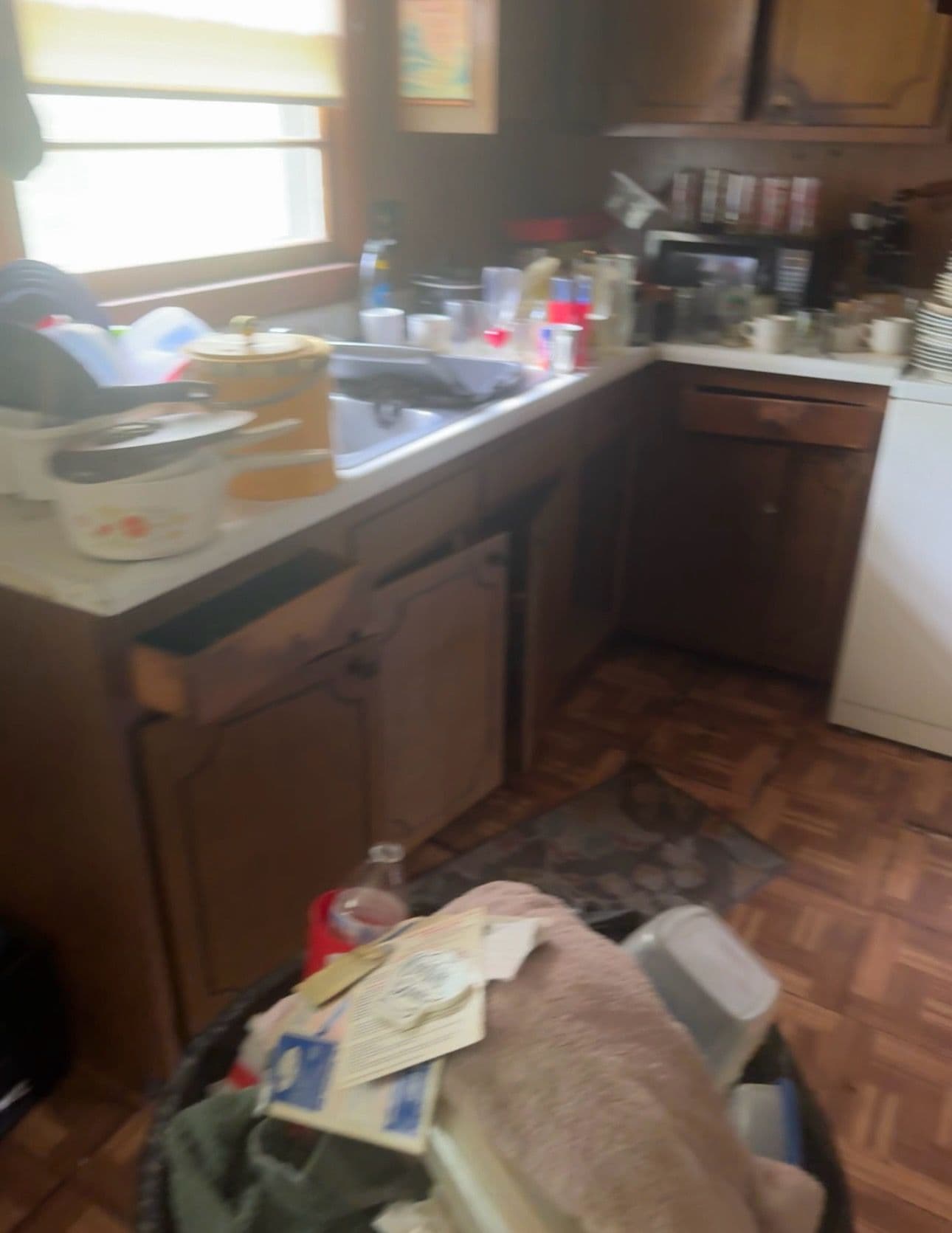 Project Abandoned House Declutter Triumph image