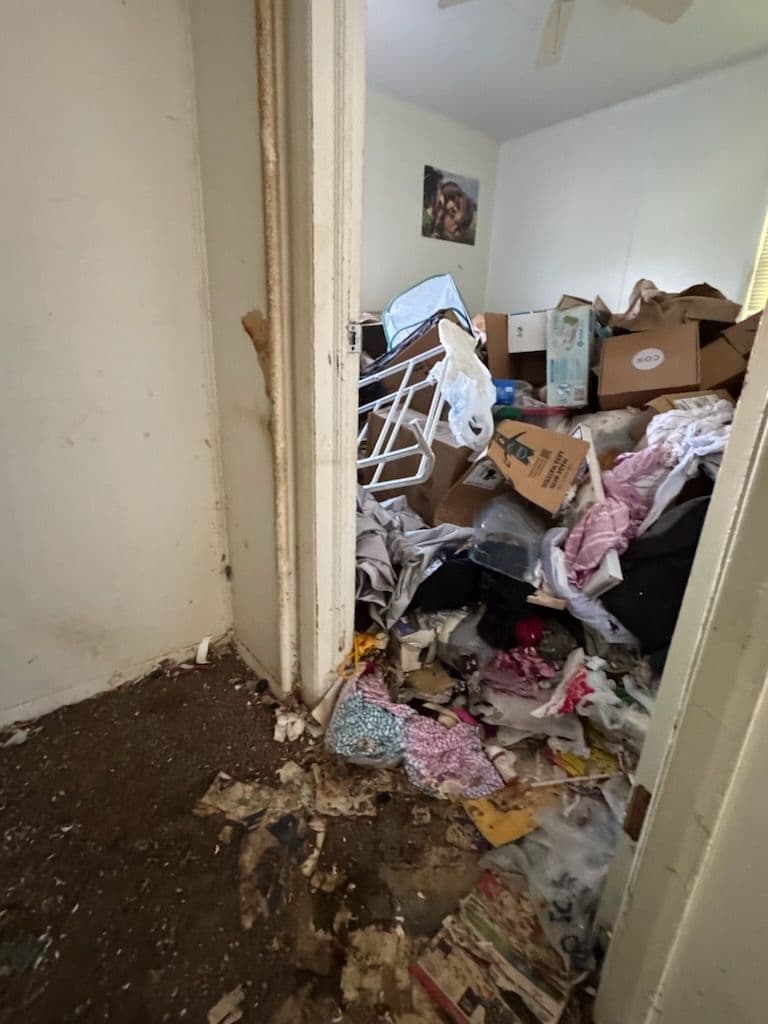 Project Transforming Chaos into Clean Living in Seattle image