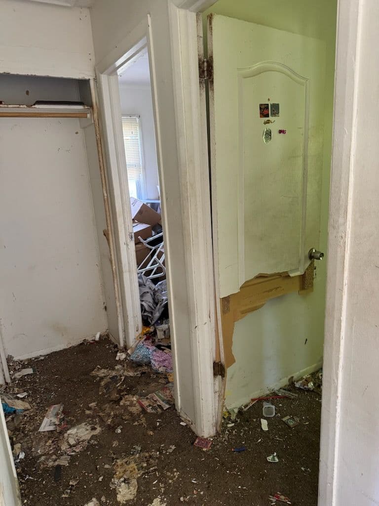 Transforming Chaos into Clean Living in Seattle