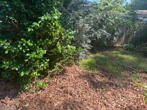 Gallery photos for Debris Cleanup and Appliance Removal Success: Image #3