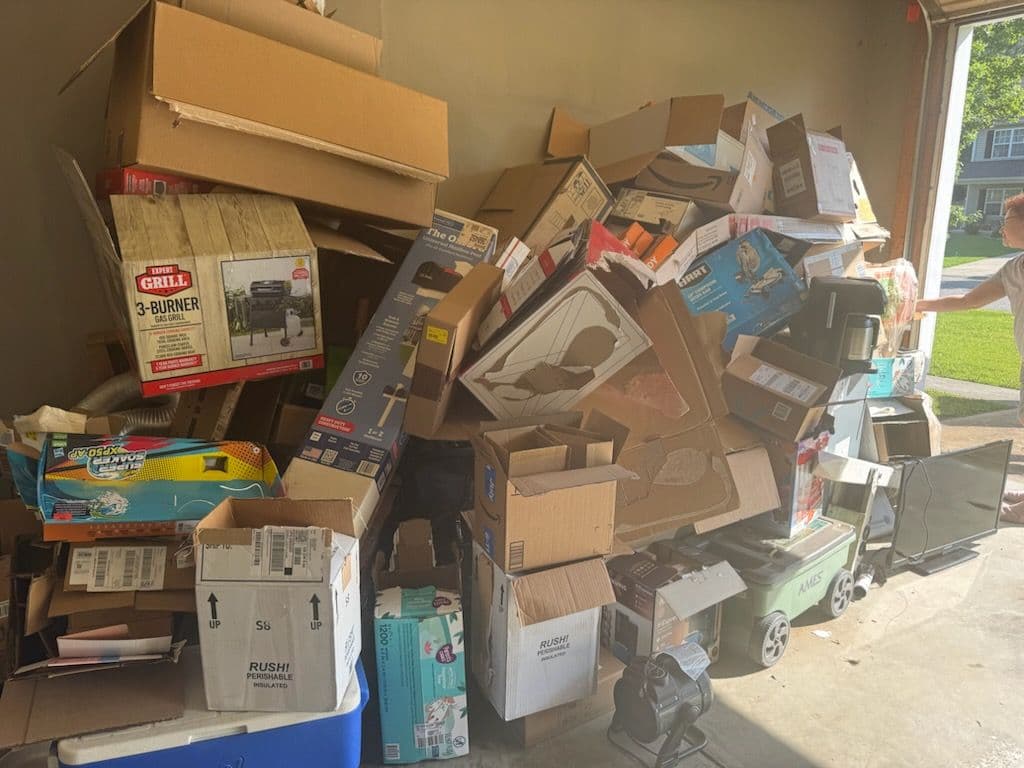 Garage Cleanout Turned Clutter-Free Sanctuary image