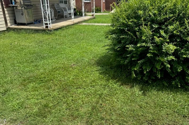 Gallery photos for Efficient Debris Cleanup for Pristine Outdoors: Image #1