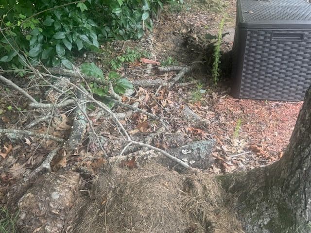 Swift Debris Cleanup After Recent Storms image
