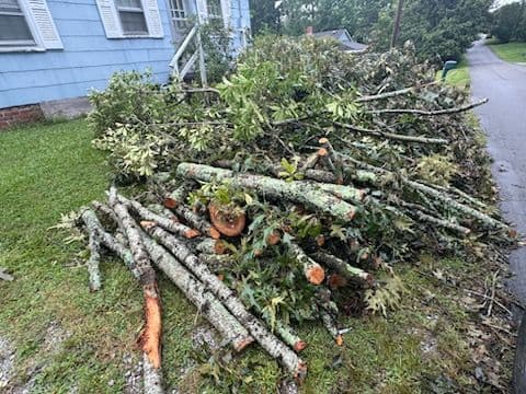 Storm Debris Clean Up Triumph image